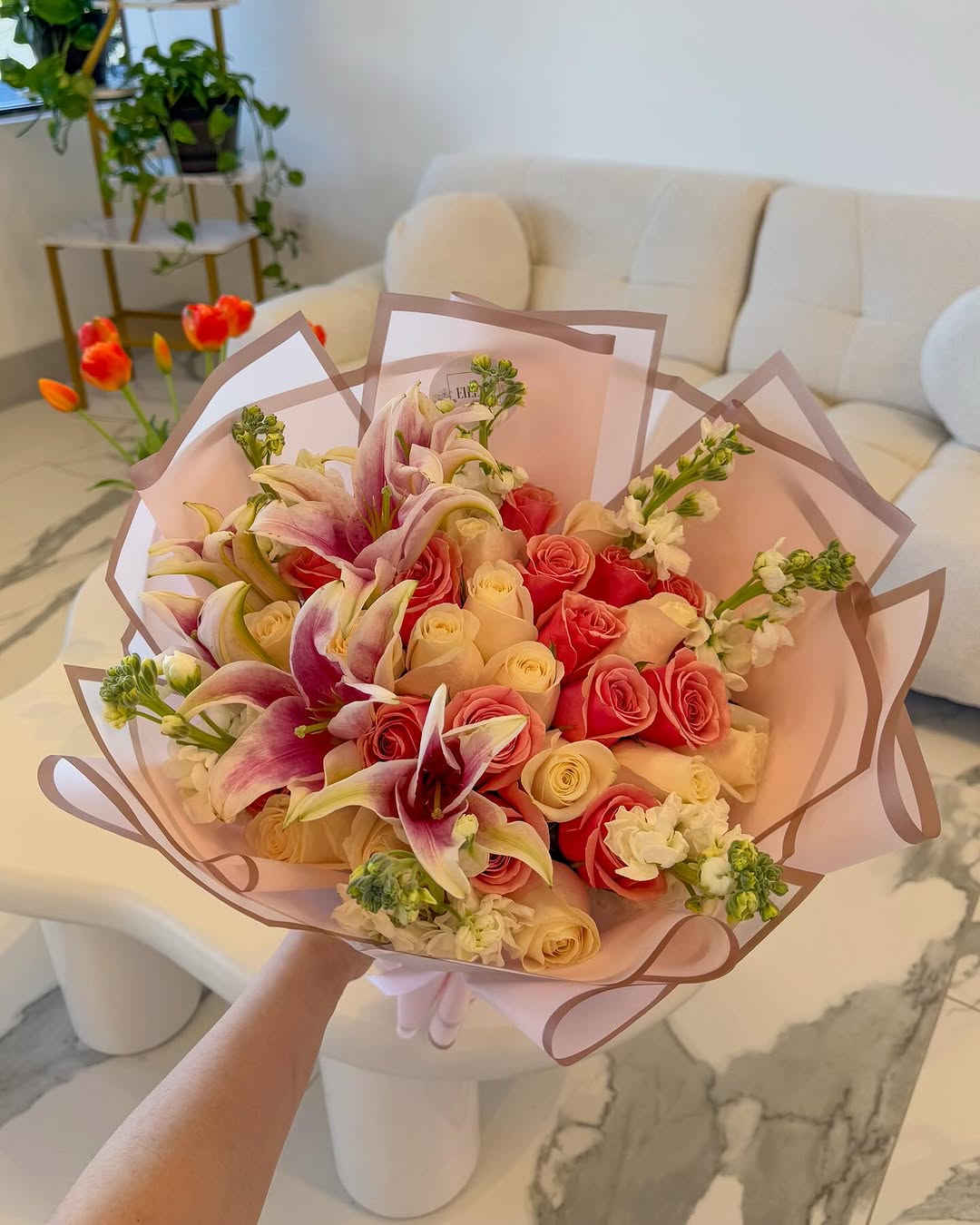 Lily Dream