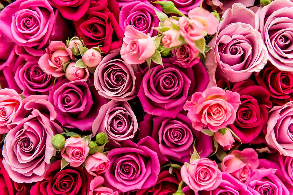 Designer’s choice vase (with roses)