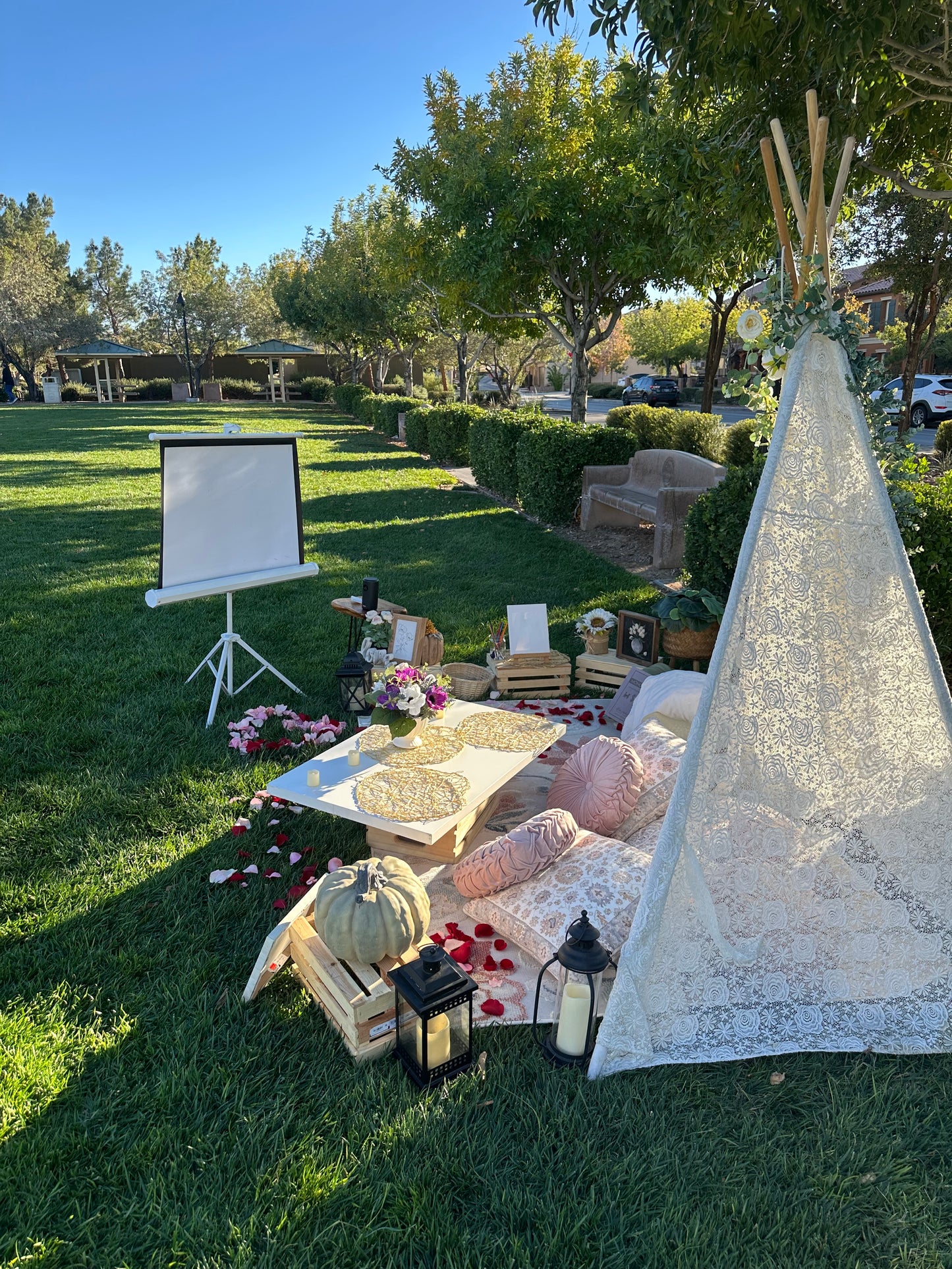 Picnic Set ups