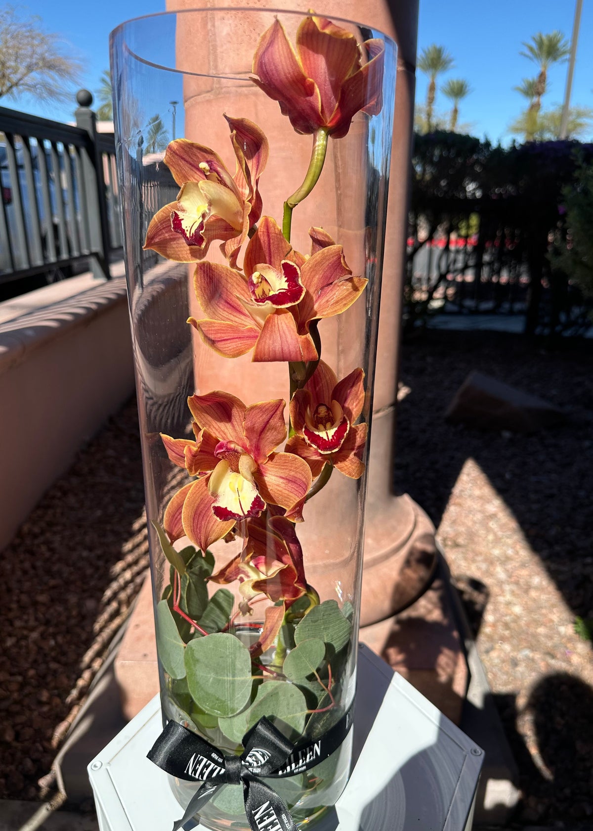 Single Orchid