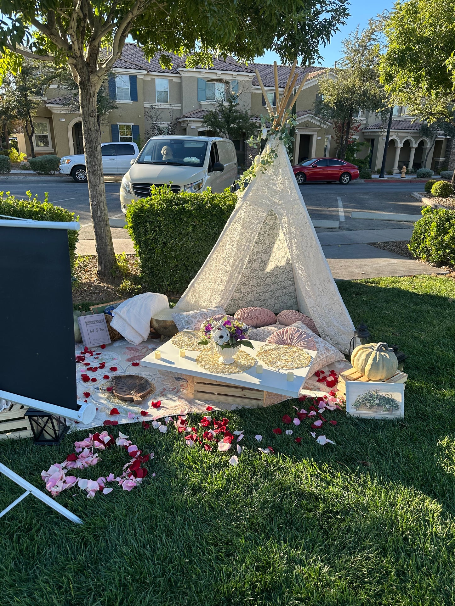 Picnic Set ups