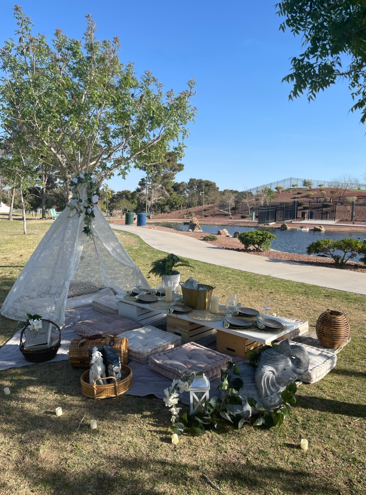 Picnic Set ups