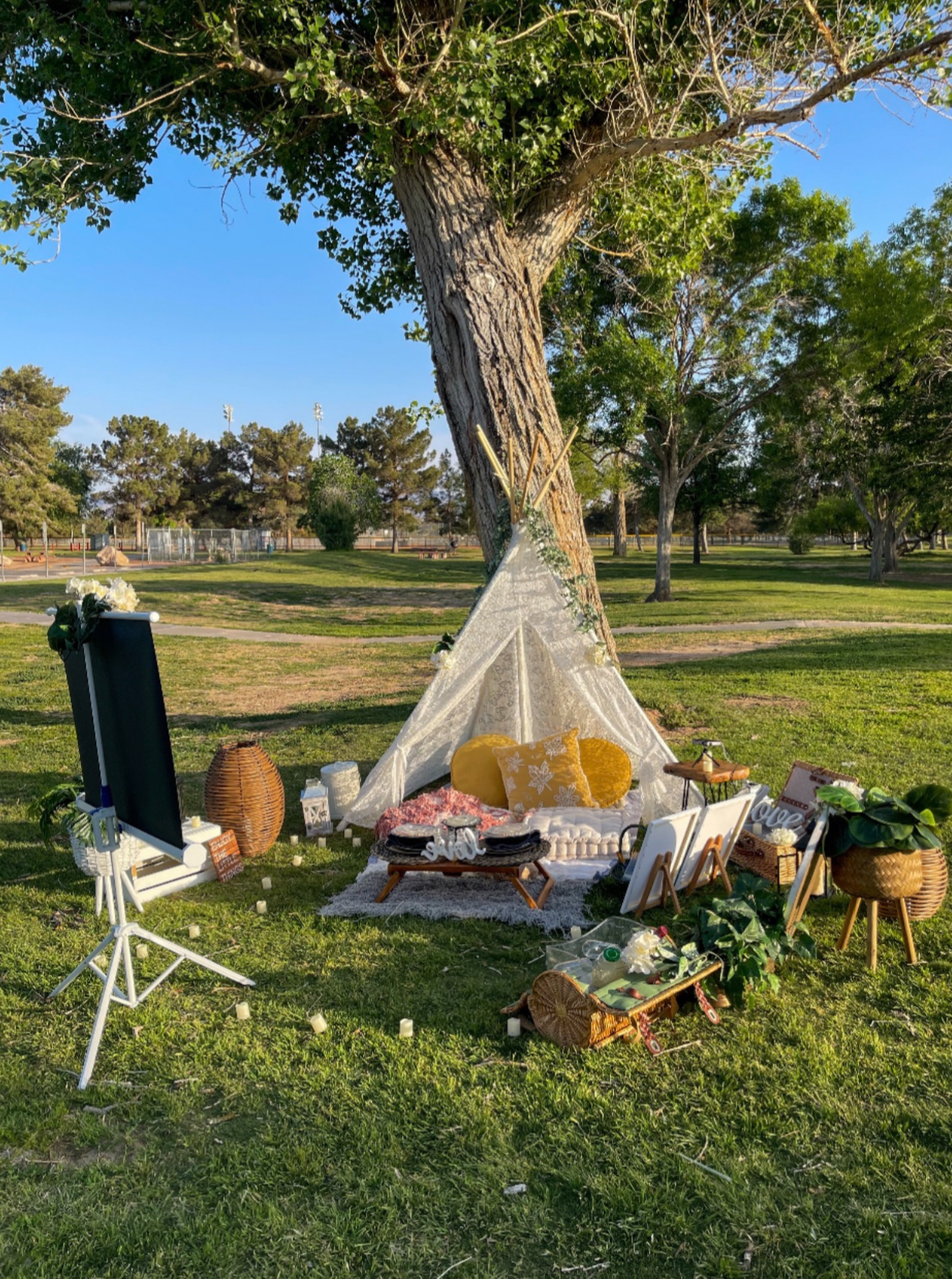 Picnic Set ups