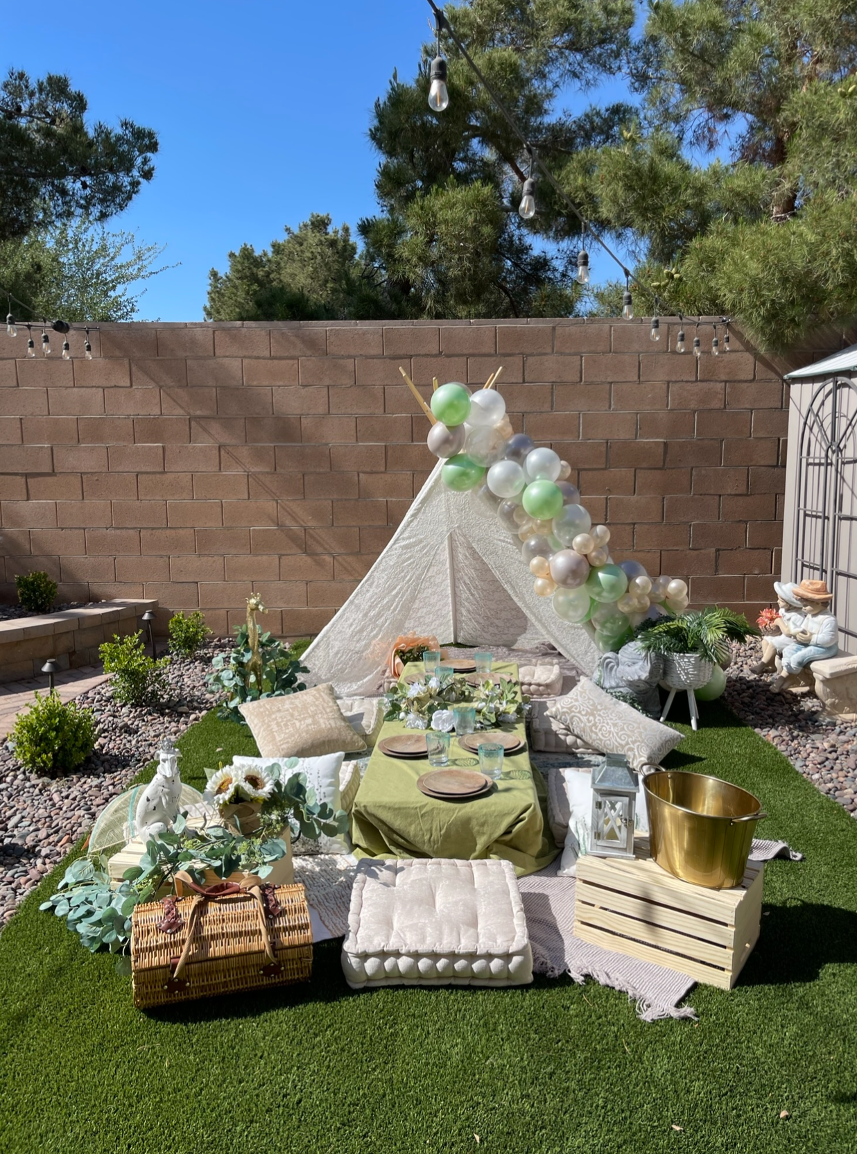 Picnic Set ups