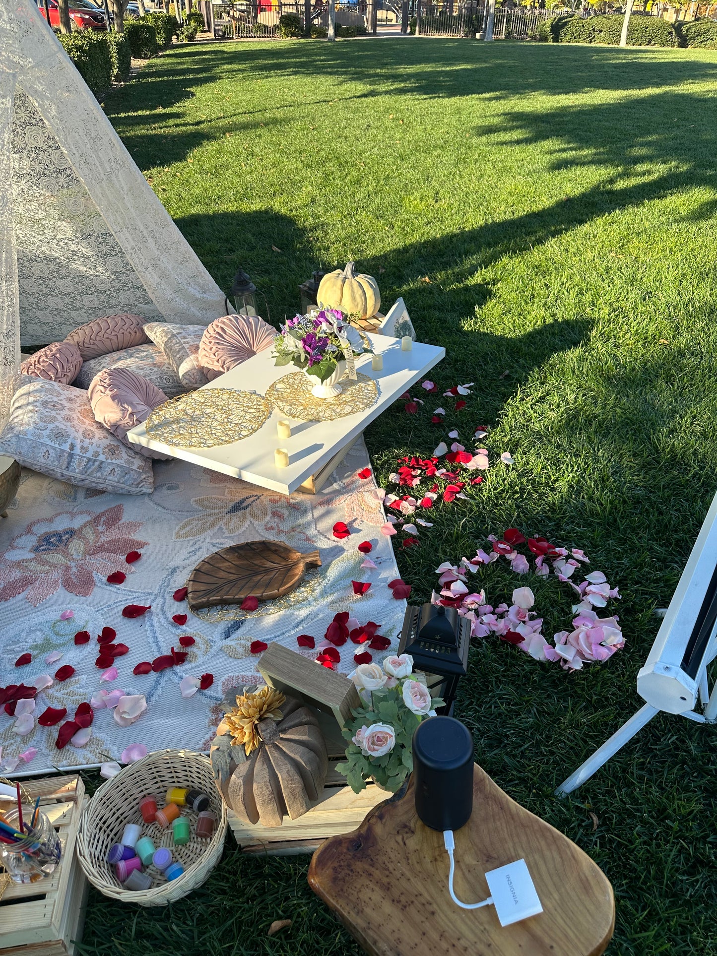 Picnic Set ups