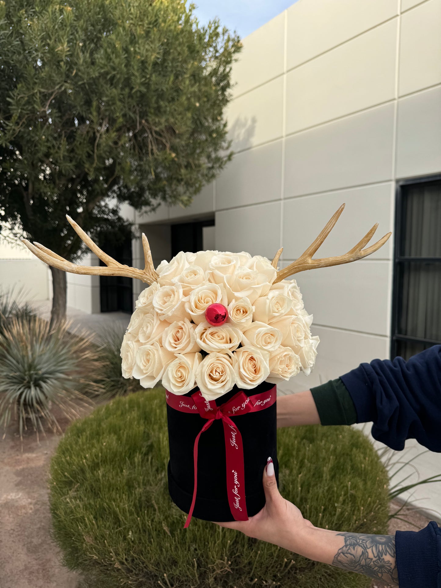 Reindeer Boxed Arrangement