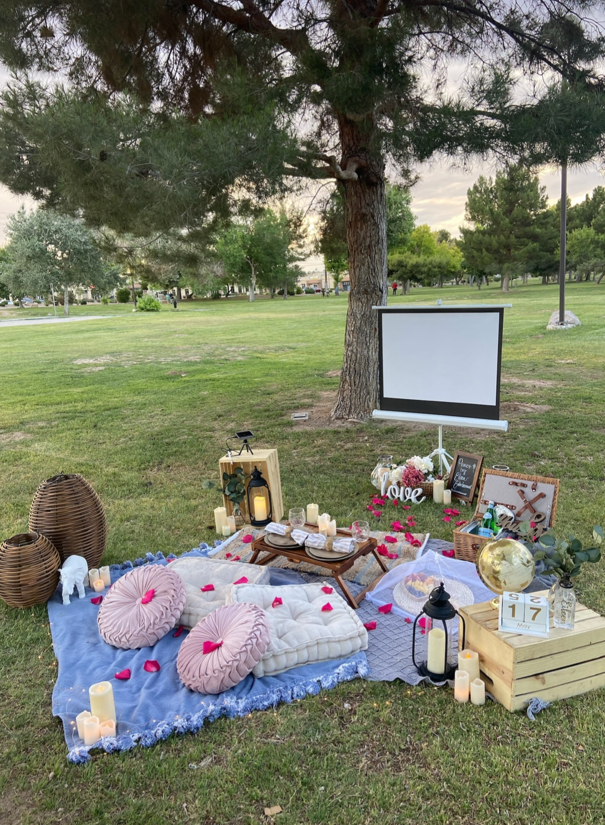 Picnic Set ups