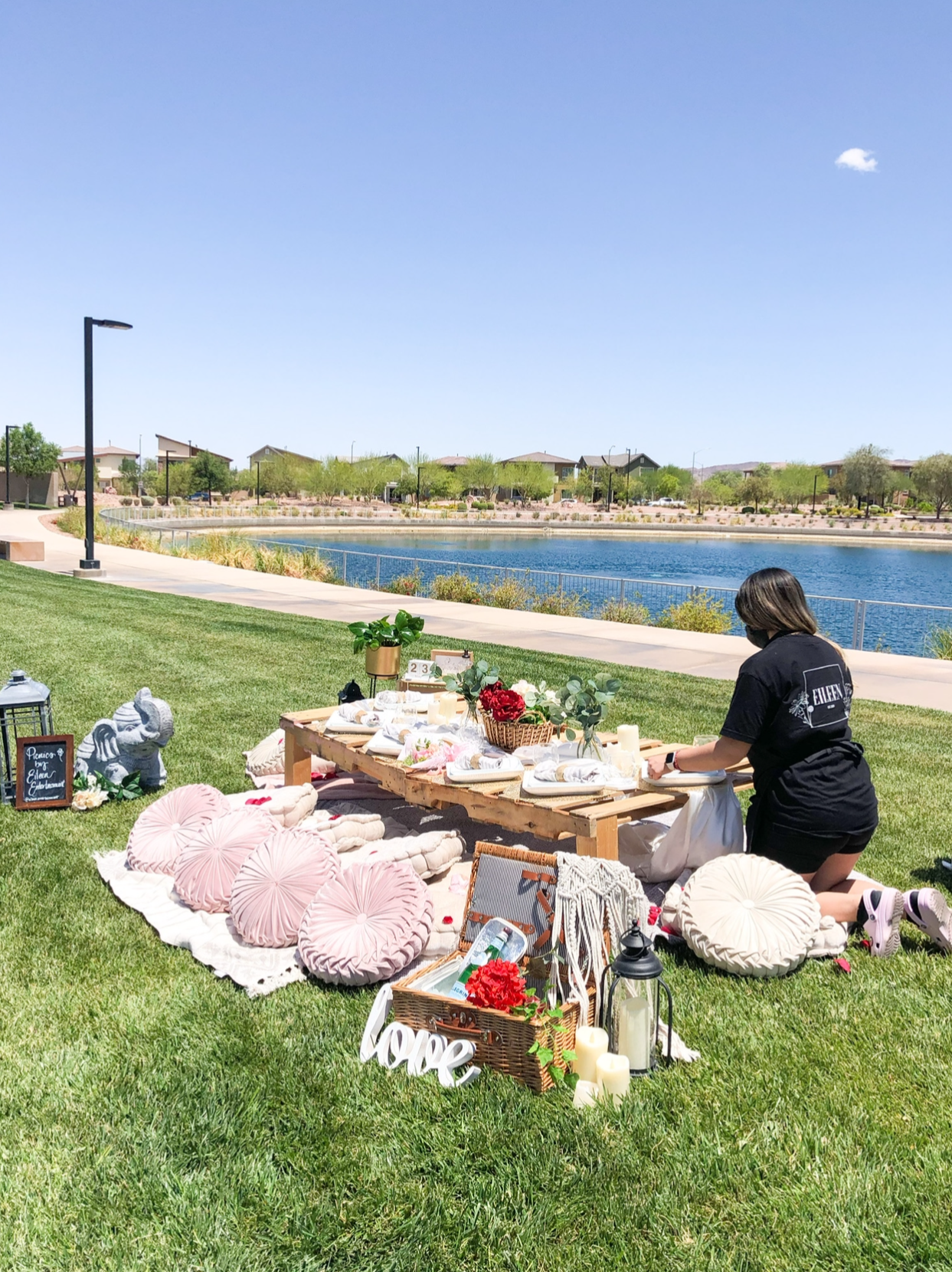 Picnic Set ups