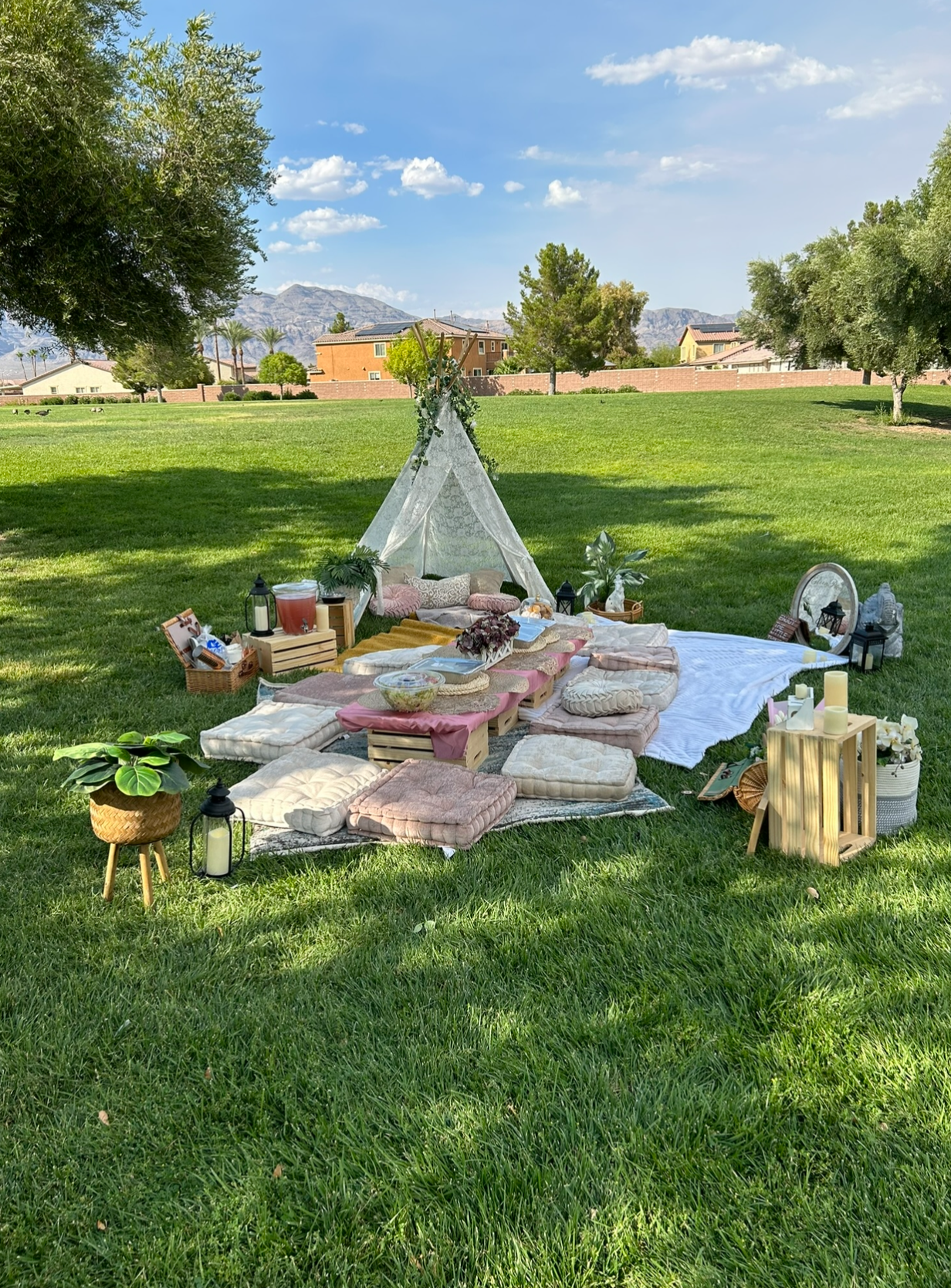 Picnic Set ups